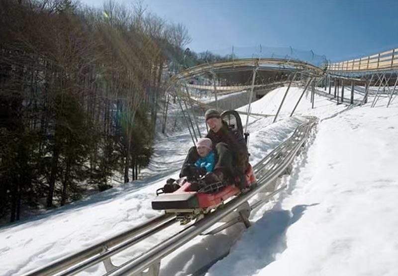 Okemo Mountain Coaster